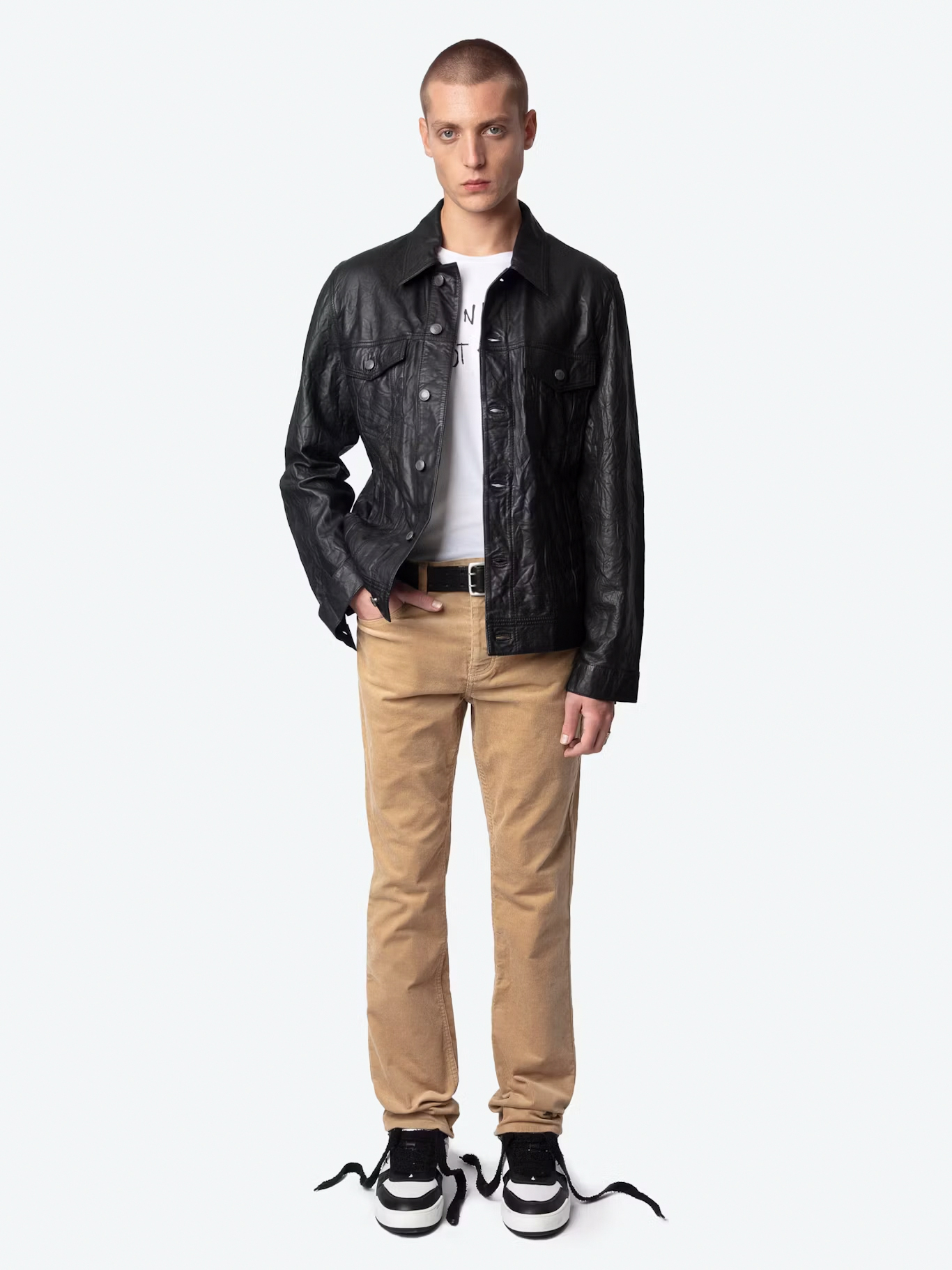STEEVE VELVET USED